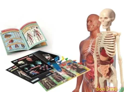 Laboratorio de anatomia ciencia y juego lab
