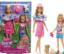 Pack barbie y stacie al rescate c/accesorios