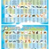 Puzzle 150 pzas. mapamundi animales