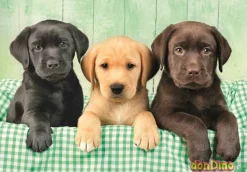 Puzzle 1000 pzas. three labs + poster incluido