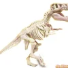 T-rex arqueojugando ciencia y juego lab - brilla en la oscuridad